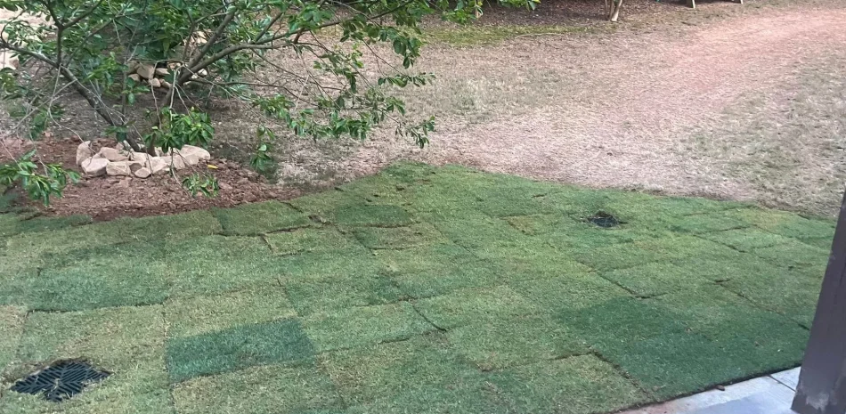 Irrigation And Sod